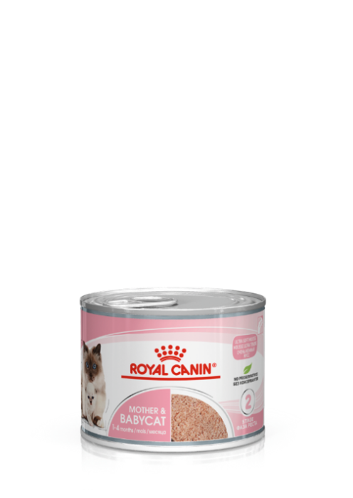 409800195 FHN BABYCAT SOUTH KONSERVE 195G - Royal Canin