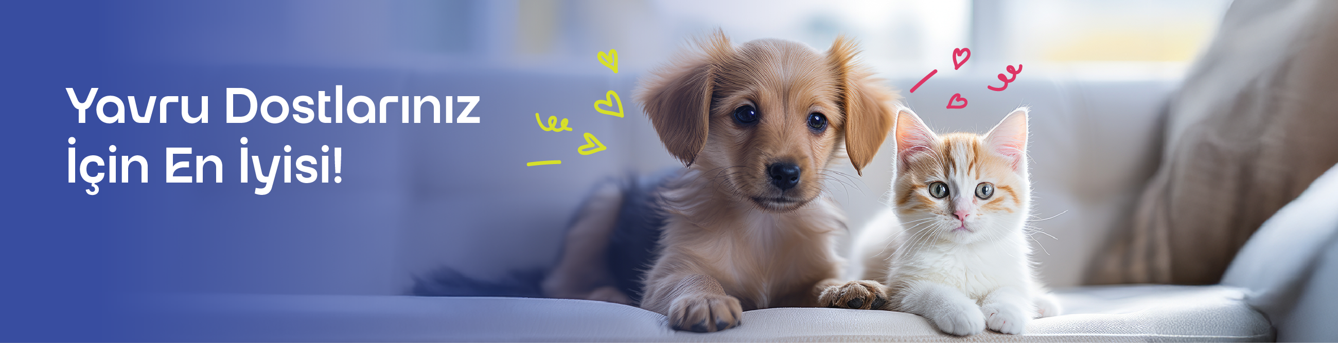 Yavru Dostlarınız İçin En İyisi !