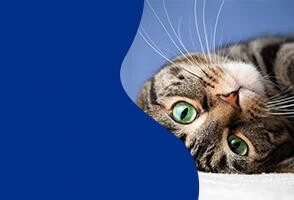 Çok <span>Satan Ürünler</span>