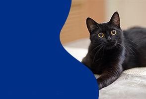 Kampanyalı <span>Ürünler</span>