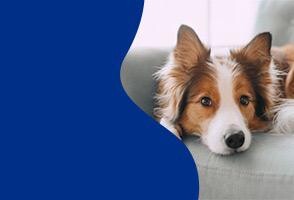 İndirimdeki <span>Ürünler</span>