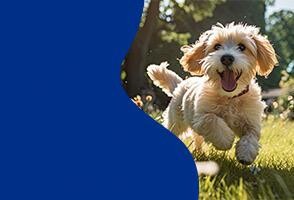 Yeni <span>Ürünler</span>