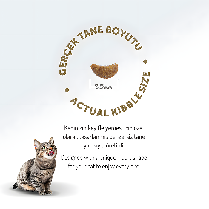 Felicia Kolajenli Kuzulu Az Tahıllı Yetişkin Kedi Maması 12 Kg - 2