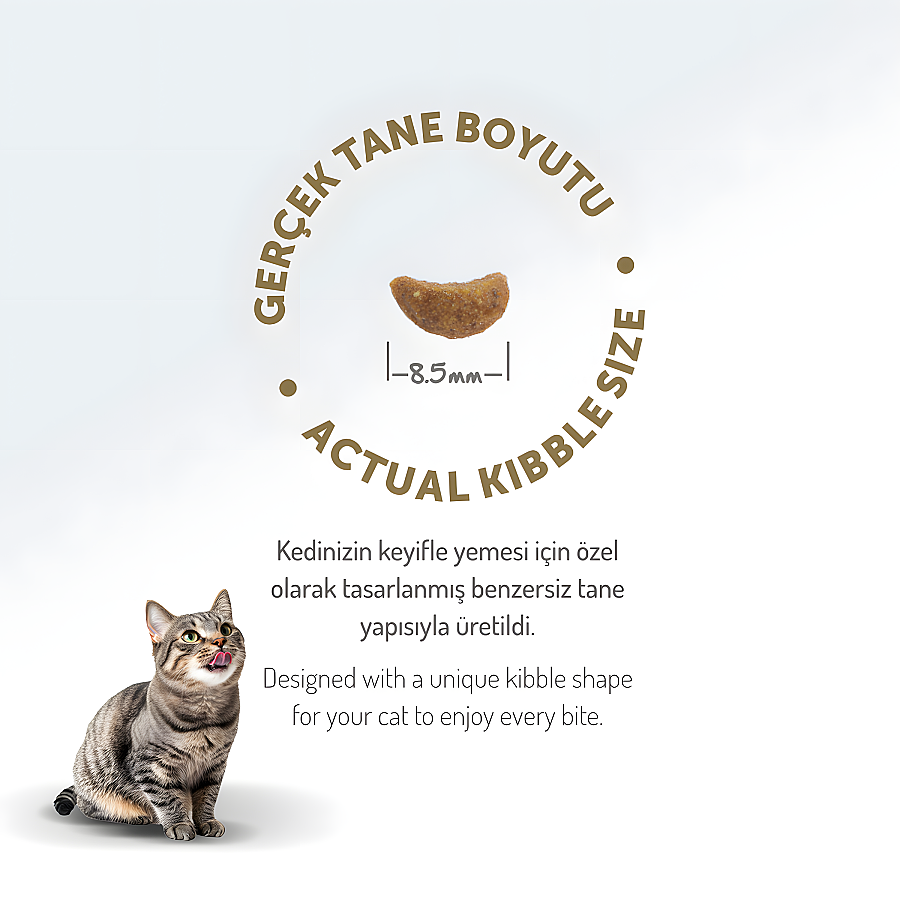 Felicia Kolajenli Kuzulu Az Tahıllı Yetişkin Kedi Maması 12 Kg - 2