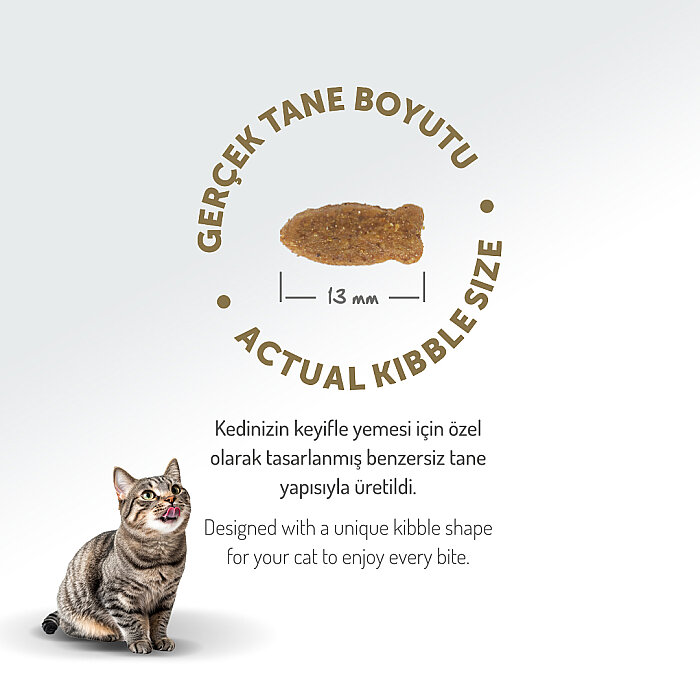 FELICIA 12 KG KOLAJENLI SOMONLU AZ TAHILLI YETISKIN KEDI MAMASI - 2
