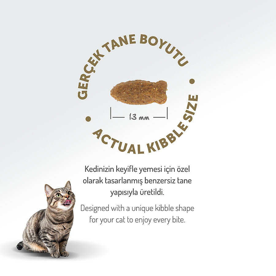 FELICIA 12 KG KOLAJENLI SOMONLU AZ TAHILLI YETISKIN KEDI MAMASI - 2