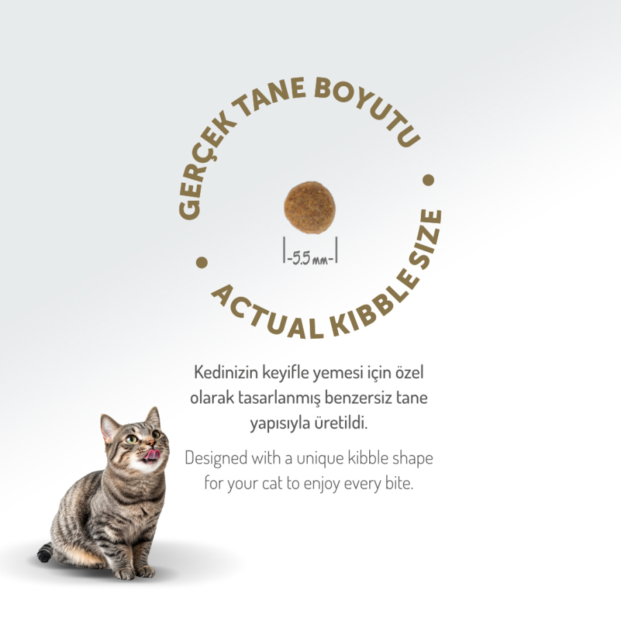 FELICIA 2 KG KOLAJENLI KUZULU AZ TAHILLI YAVRU KEDI MAMASI - 2