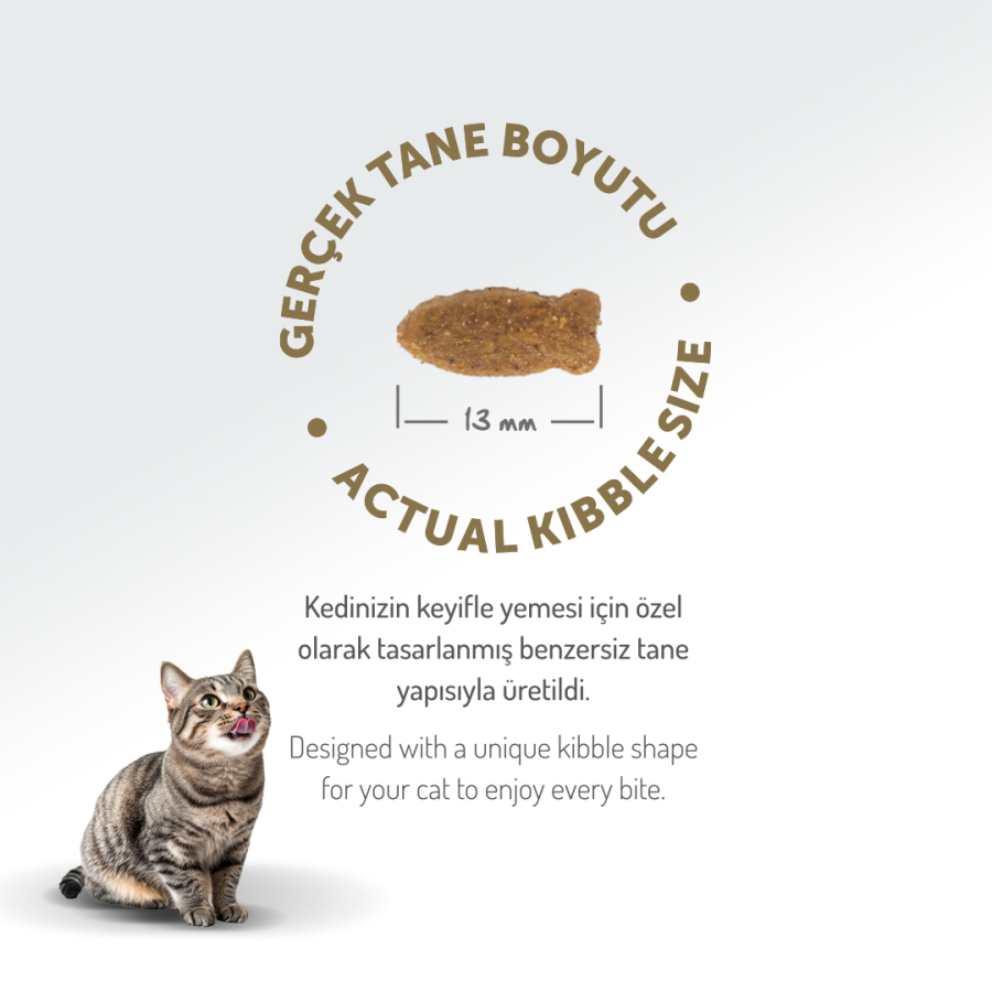 FELICIA 2 KG KOLAJENLI SOMONLU AZ TAHILLI YETISKIN KEDI MAMASI - 2