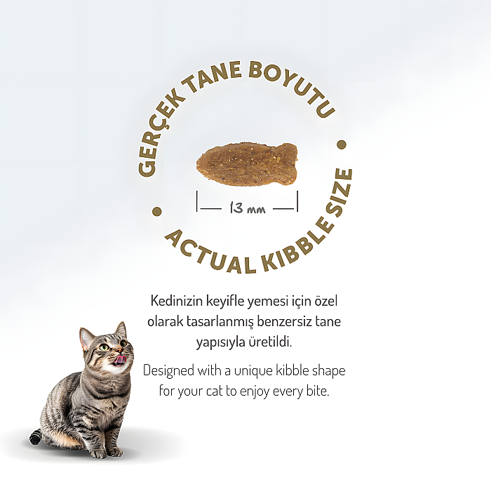 Felicia Kolajenli Somonlu Az Tahıllı Yetişkin Kedi Maması 2 Kg - 2