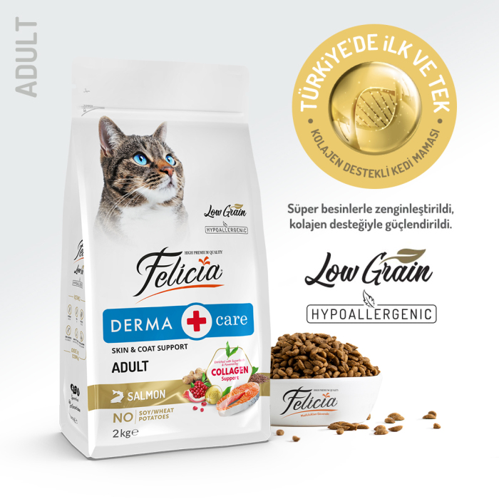 FELICIA 2 KG KOLAJENLI SOMONLU AZ TAHILLI YETISKIN KEDI MAMASI - Felicia