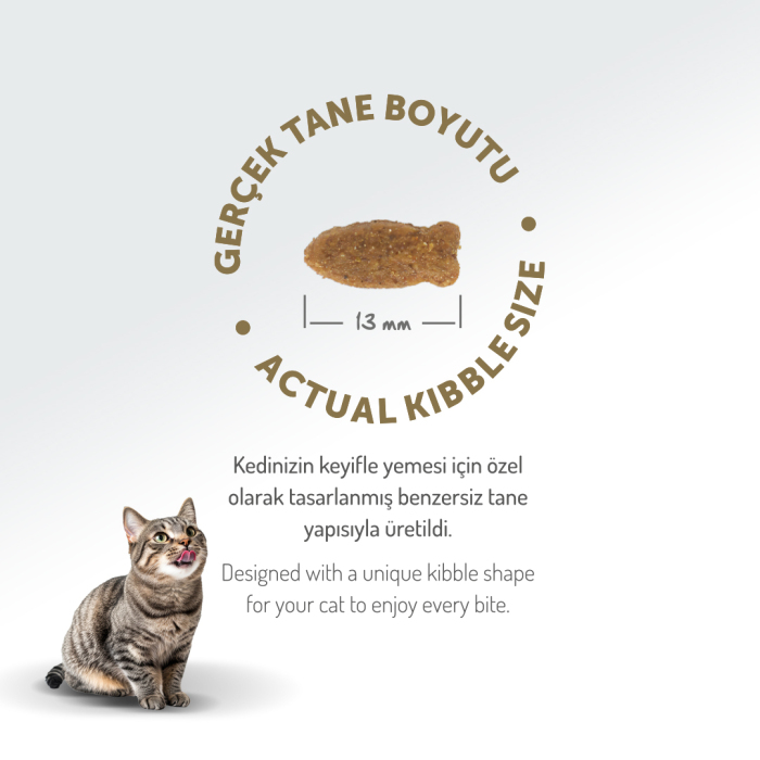 Felicia 2 Kg Kolajenli Somonlu Az Tahıllı Yetişkin Kedi Maması - 2