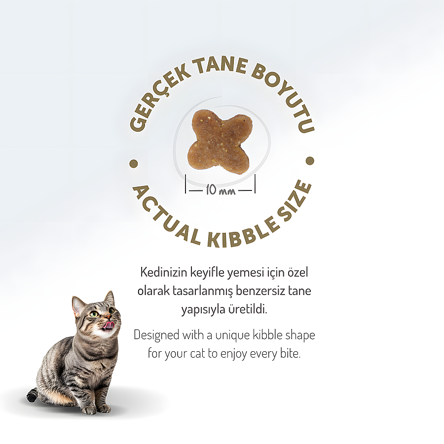 Felicia Kolajenli Tavuklu Az Tahıllı Yavru Kedi Maması 2 Kg - 2