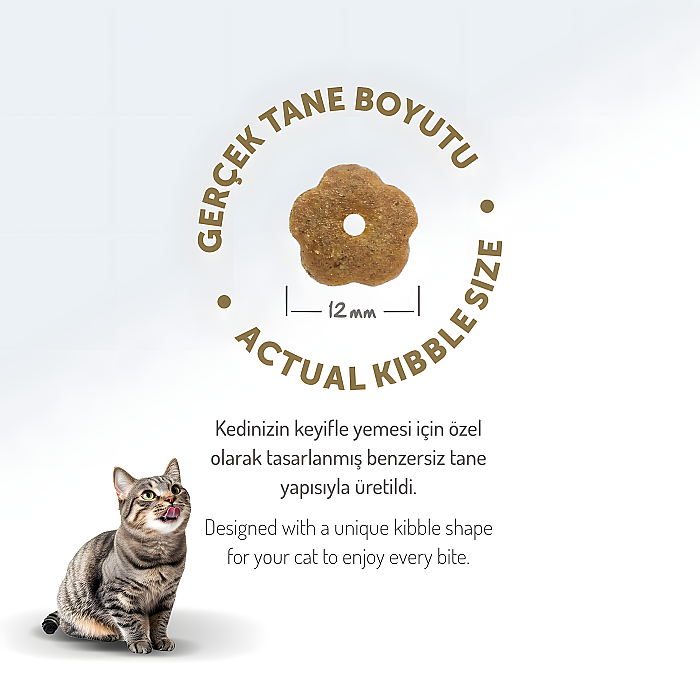 Felicia Kolajenli Tavuklu Az Tahıllı Yetişkin Kedi Maması 2 Kg - 2