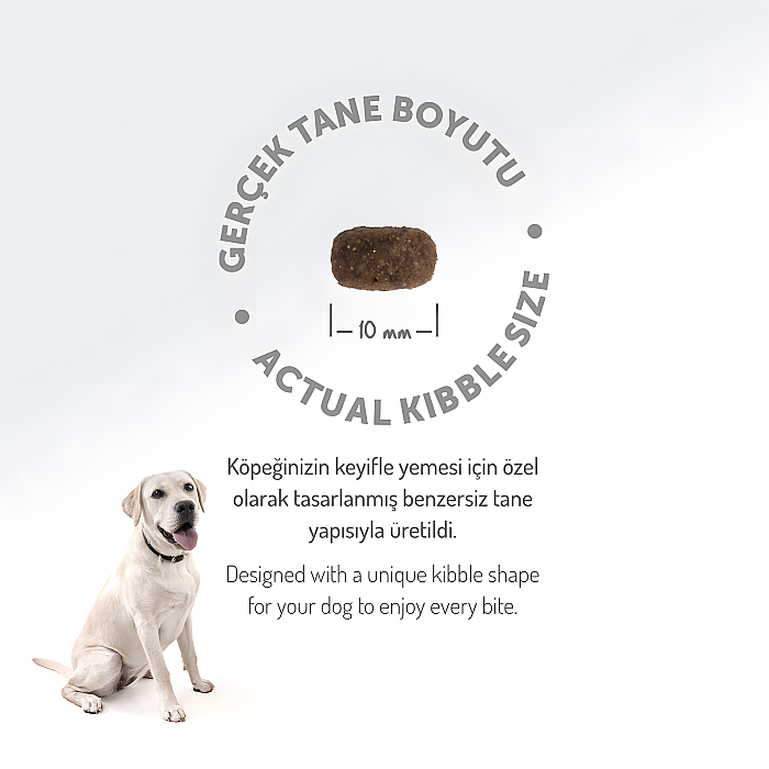 Felicia Kolajenli Kuzulu Az Tahıllı Küçük/Mini Irk Yetişkin Köpek Maması 3 Kg - 2