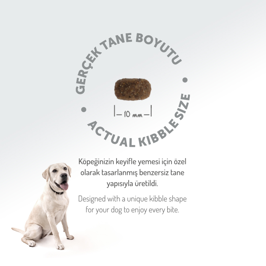 FELICIA 3 KG KOLAJENLI KUZULU AZ TAHILLI SMALL/MINI YETISKIN KOPEK MAMASI - 2