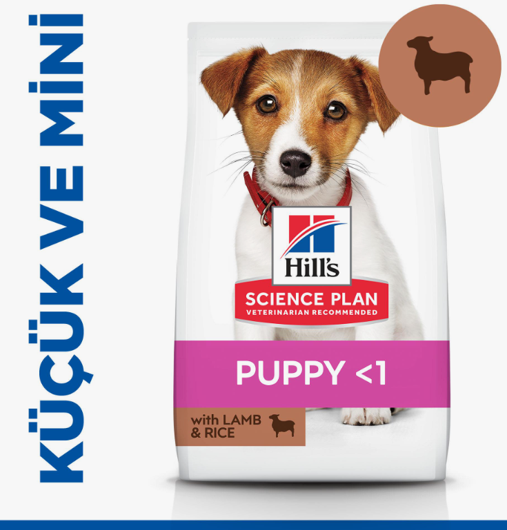 HİLL'S SP KUZULU & PİRİNÇLİ KÜÇÜK VE MİNİ IRK YAVRU KÖPEK MAMASI 3 KG - 1