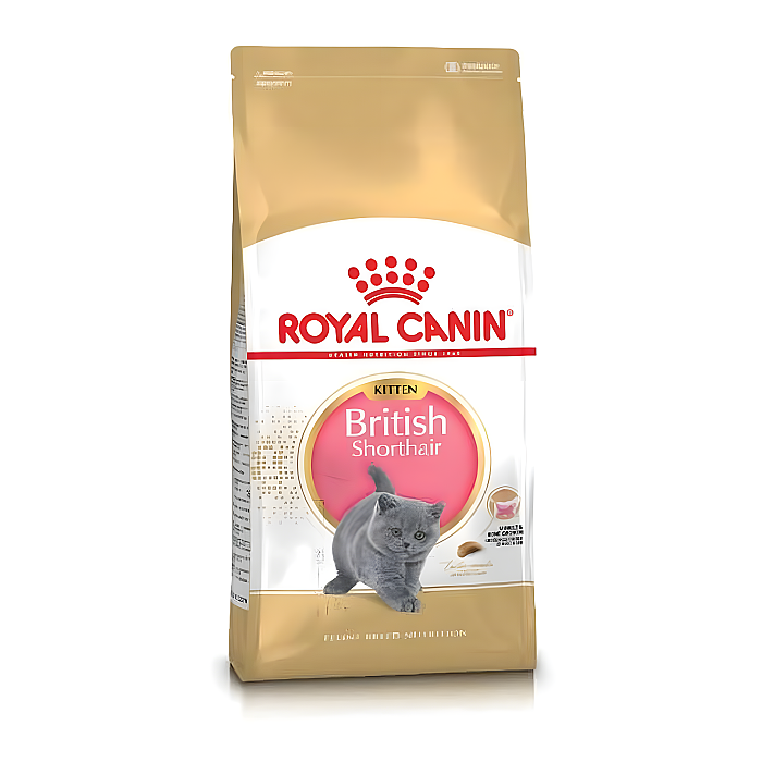 Royal Canin British Shorthair Yavru Kedi Maması 2 Kg - Royal Canin