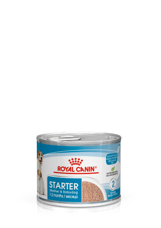ROYAL CANİN STARTER MOUSSE YAŞ MAMA 195 G - 1