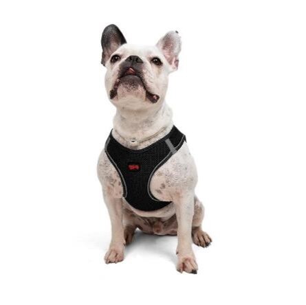 TAILPETZ AIR-MESH HARNESS BLACK 2XS - 3
