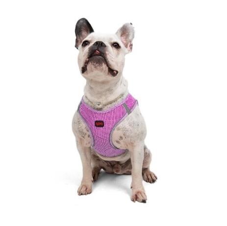 TAILPETZ AIR-MESH HARNESS LILAC XL - Tailpetz