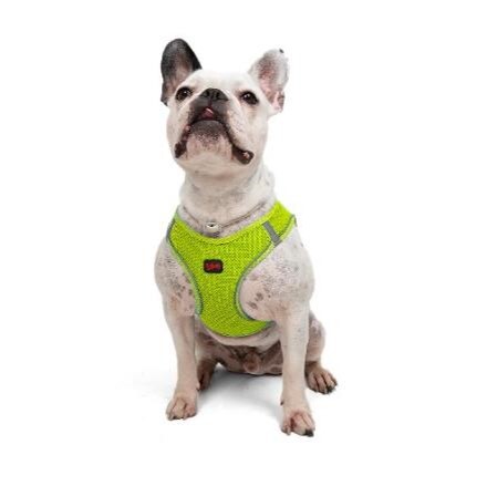 TAILPETZ AIR-MESH HARNESS NEO LIME S - 4