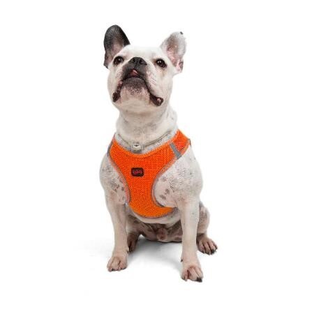 TAILPETZ AIR-MESH HARNESS NEO ORANGE XS - 