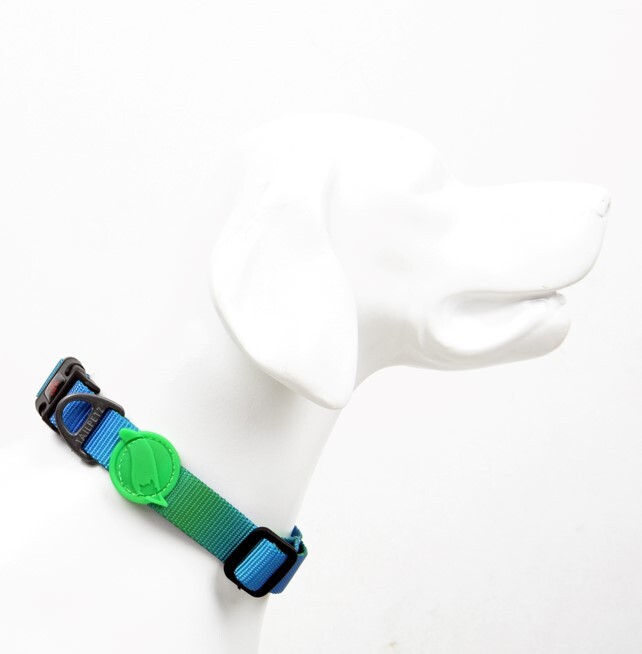 TAILPETZ AMAZON COLLAR SMALL - 2