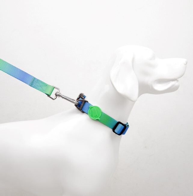 TAILPETZ AMAZON COLLAR XSMALL - Tailpetz