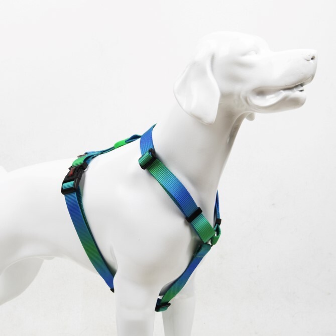 TAILPETZ AMAZON H-HARNESS M - 