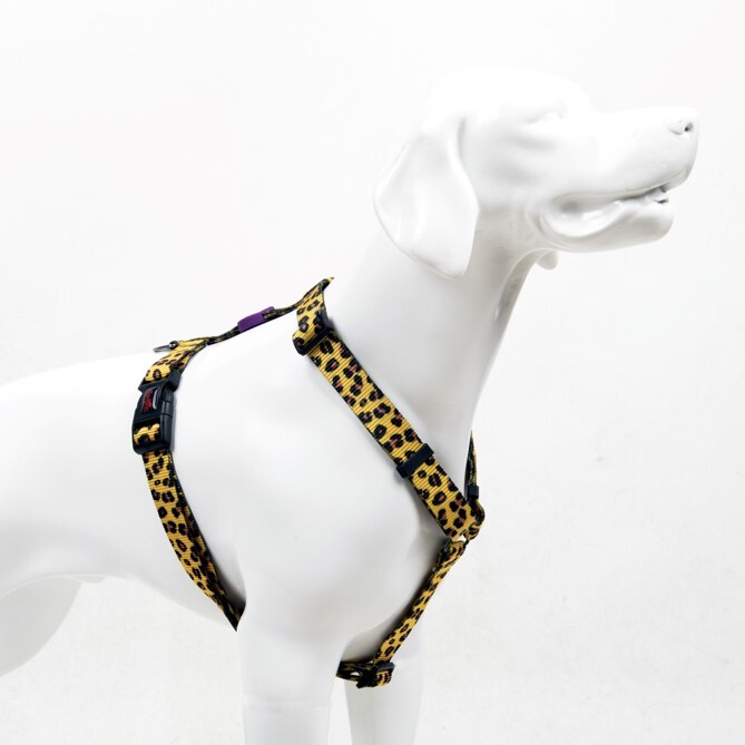 TAILPETZ LEOPARD H-HARNESS M - 