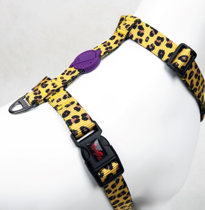 TAILPETZ LEOPARD H-HARNESS S - 3