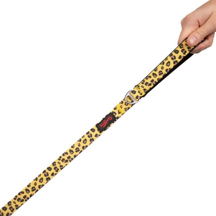 TAILPETZ LEOPARD LEASH SMALL - 1