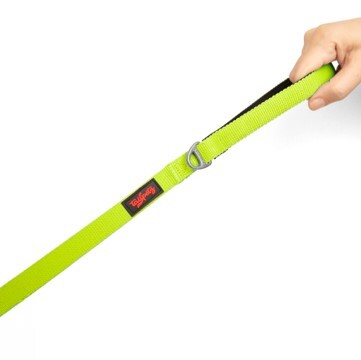 TAILPETZ NEO LIME MATCH LEASH MEDIUM - 2