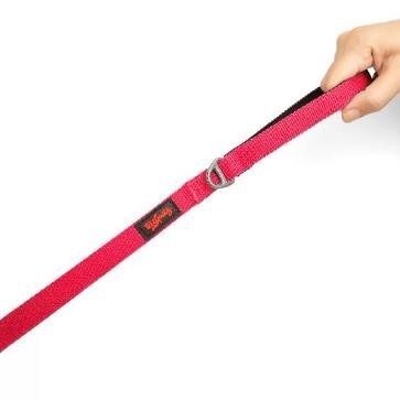 TAILPETZ NEO PINK MATCH LEASH SMALL - 1