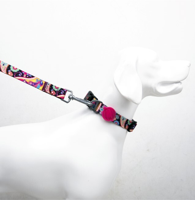 TAILPETZ PAISLEY COLLAR MEDIUM - 1