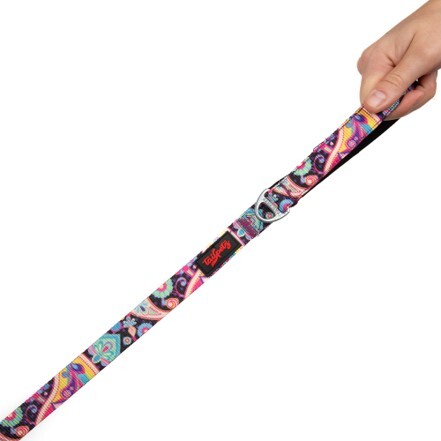 TAILPETZ PAISLEY LEASH SMALL - 1