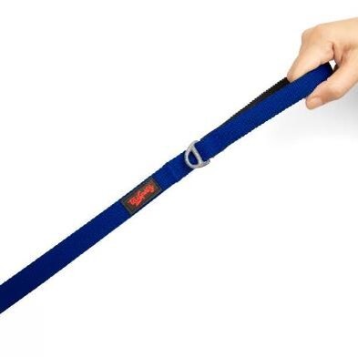 TAILPETZ SAX MATCH LEASH SMALL - 2