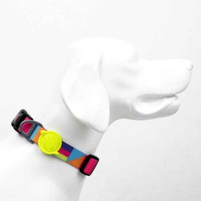 TAILPETZ SPIRIT COLLAR MEDIUM - Tailpetz