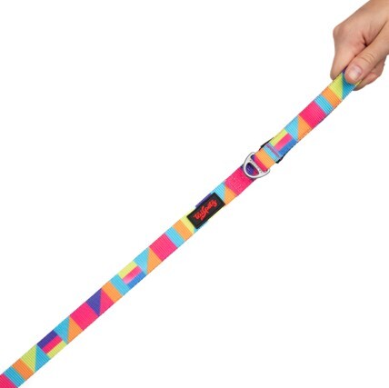 TAILPETZ SPIRIT LEASH MEDIUM - Tailpetz